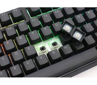 Ducky ONE 2 RGB