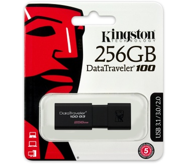 Kingston 100 G3 256GB