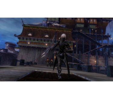 Guild Wars 2, PC (Windows)