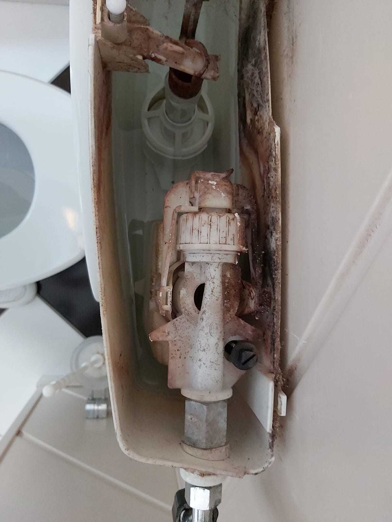 Afbeeldingslocatie: https://tweakers.net/i/wY6xMg4qguPEinIDJqrZNPKOqH8=/800x/filters:strip_icc():strip_exif()/f/image/EmkOC4RaNUsgAANgFIrpPFMV.jpg?f=fotoalbum_large