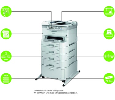 Epson Cyan XL Ink Supply Unit