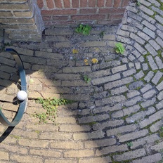 Afbeeldingslocatie: https://tweakers.net/i/wctGdyJKYY05fltoFS-8BGZBsZg=/232x232/filters:strip_icc():strip_exif()/f/image/z8rr3tIZW8WSSCOHeDaO6c5T.jpg?f=fotoalbum_tile