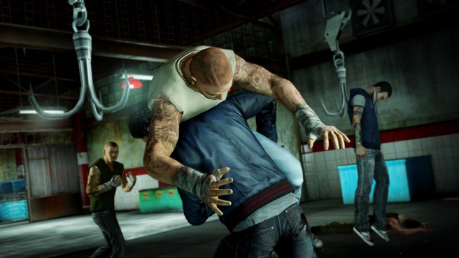 Sleeping Dogs
