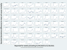 All cause mortality in USA between jan 2020 and feb 2021
