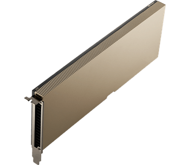 PNY Nvidia A10