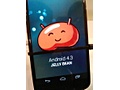 Nexus 4 met Android 4.3