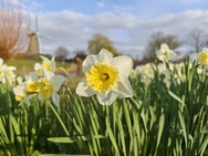 Xiaomi 17 Cameratest - Primair (overdag)