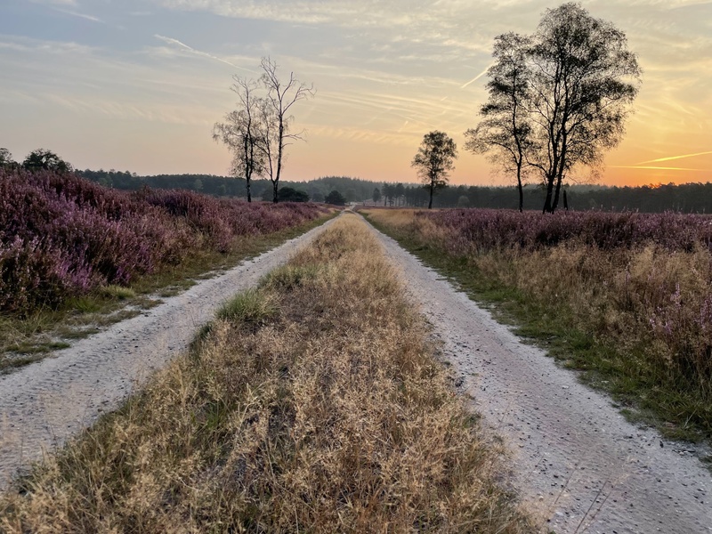 Afbeeldingslocatie: https://tweakers.net/i/wln5Mvg8Qs2G33vjZWA0ZPBe66Q=/800x/filters:strip_icc():strip_exif()/f/image/ZbTrecmcx2MpATrmPyposBkk.jpg?f=fotoalbum_large