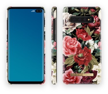 BeHello IDFCS17-S10P-63