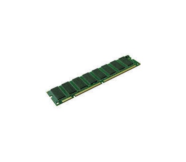 MicroMemory 256MB DIMM