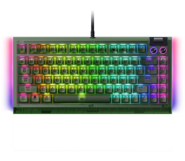Razer BlackWidow V4 75%