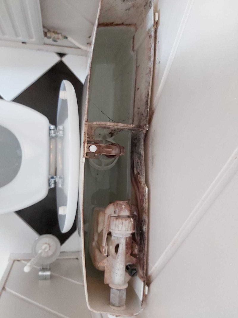 Afbeeldingslocatie: https://tweakers.net/i/wnwzhOZ-6LmXj22Tu380tAccKDI=/800x/filters:strip_icc():strip_exif()/f/image/9DY05s6iyE6ZnZlZKIQgkyOg.jpg?f=fotoalbum_large