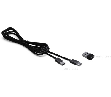 Sharp Digitalradio DR-P530 GR