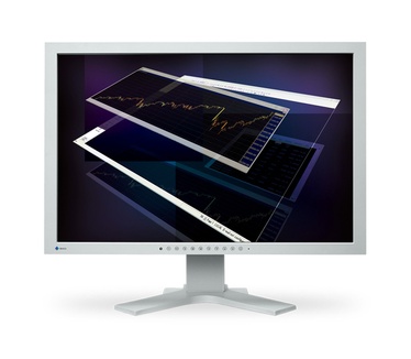 Eizo Flexscan S2431W-GY