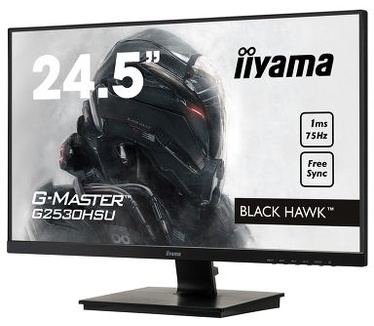 Iiyama G-Master Black Hawk G2530HSU-B1 Zwart