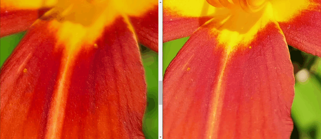 S20 Ultra versus P40 Pro+ macro