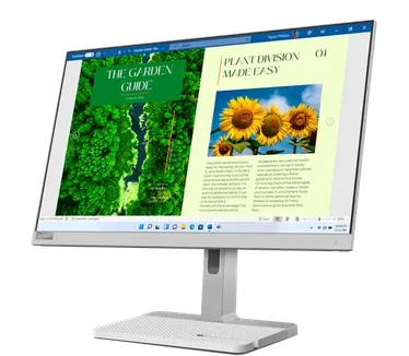 Lenovo L24m-40 24" Full HD 75Hz IPS monitor