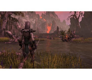 The Elder Scrolls Online Blackwood Collection, PS4