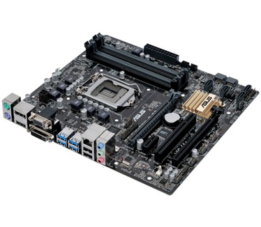 Asus B150M-C D3