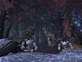 World of Warcraft: Wrath of the Lich King - Zul'Drak