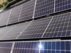 panelen