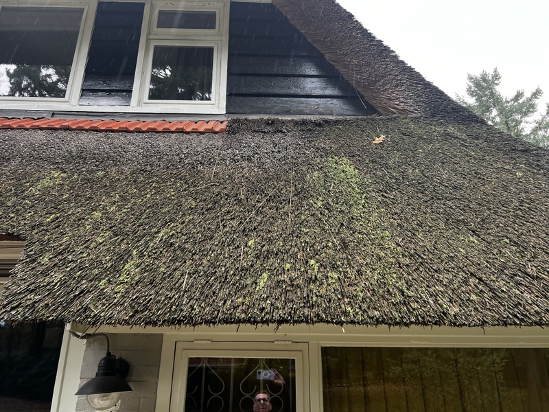 Afbeeldingslocatie: https://tweakers.net/i/x2yk9FzeLu0ndj28l2GgNc9zb4A=/800x/filters:strip_icc():strip_exif()/f/image/04KgICogaamm0caux1cPbIWI.jpg?f=fotoalbum_large
