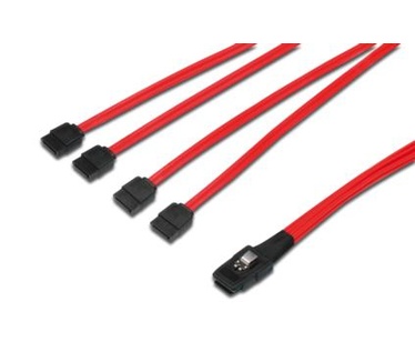 Assman mini SAS 36-pin / 4 x 7-pin SATA, 0.5m