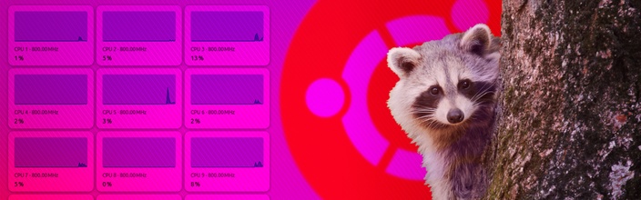 Ubuntu 26.04 LTS Resolute Raccoon Review