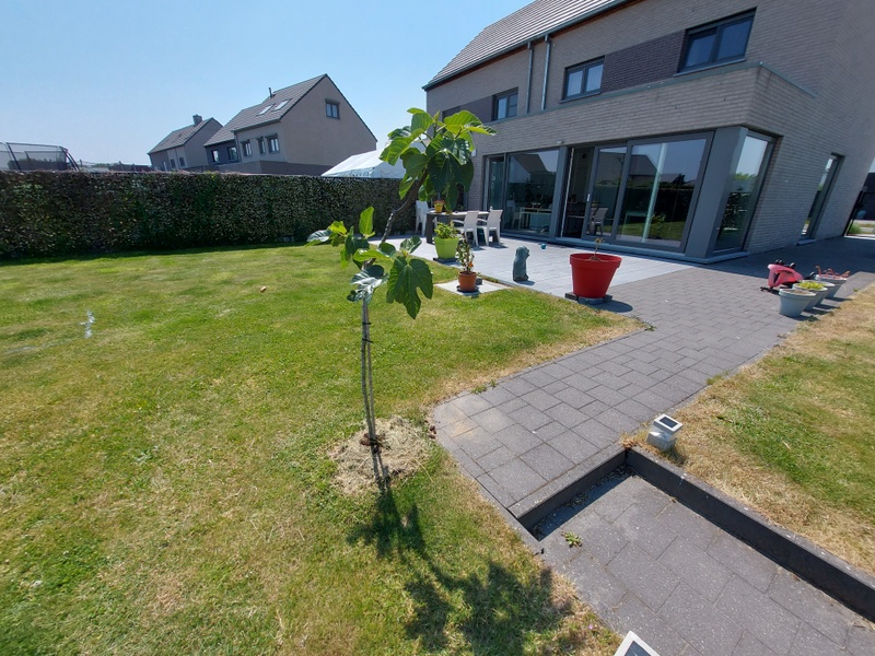 Afbeeldingslocatie: https://tweakers.net/i/x9ebtaZdjBqKKgR0bERHk4lyd6g=/800x/filters:strip_icc():strip_exif()/f/image/HL0ojufgenNDJE1k7DrgJoQr.jpg?f=fotoalbum_large