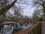 S21 en S21 Ultra ultragroothoekcamera