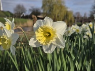 Xiaomi 17 Cameratest - Twee keer zoom