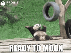 Afbeeldingslocatie: https://tweakers.net/i/xCjqwC_aCOiJiFWDdWNuOxDSxas=/full-fit-in/4000x4000/filters:no_upscale():fill(white):gifsicle():strip_exif()/f/image/fmQcViVgygN9w1vhxVEC51xE.gif?f=user_large