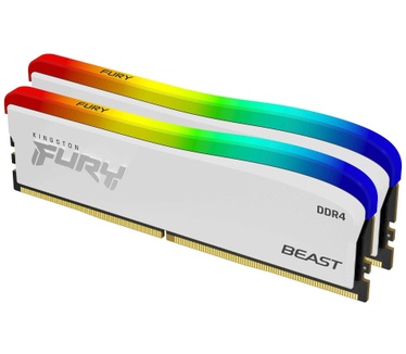Kingston Beast RGB Special Edition