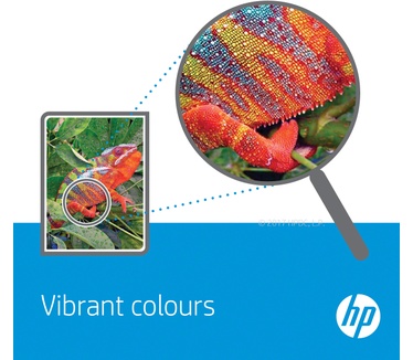 HP 981Y