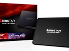 Biostar G300
