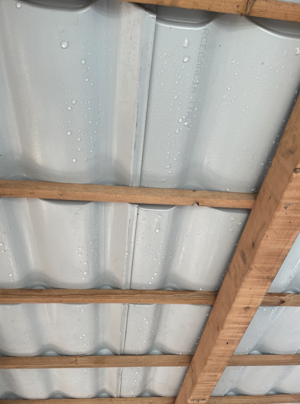 Afbeeldingslocatie: https://tweakers.net/i/xFL6sk-ws0MqaRBA2n2RLbjAVVA=/x800/filters:strip_icc():strip_exif()/f/image/u84xx15AtCFiDPSMmItp3v3U.jpg?f=fotoalbum_large