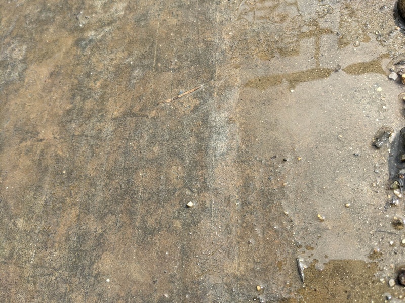 Afbeeldingslocatie: https://tweakers.net/i/xFMaTmhcn1L0xw13VpWC-Q2658k=/800x/filters:strip_icc():strip_exif()/f/image/ewr8BreevvxrY6suXbK3QKxo.jpg?f=fotoalbum_large