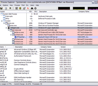 Process Explorer screenshot (481 pix)