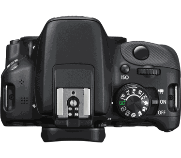 Canon EOS 100D + EF-S 18-55mm f/3.5-5.6 IS STM + EF-S 55-250mm f/4-5.6 IS II Zwart