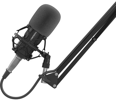 Genesis Radium 300 XLR