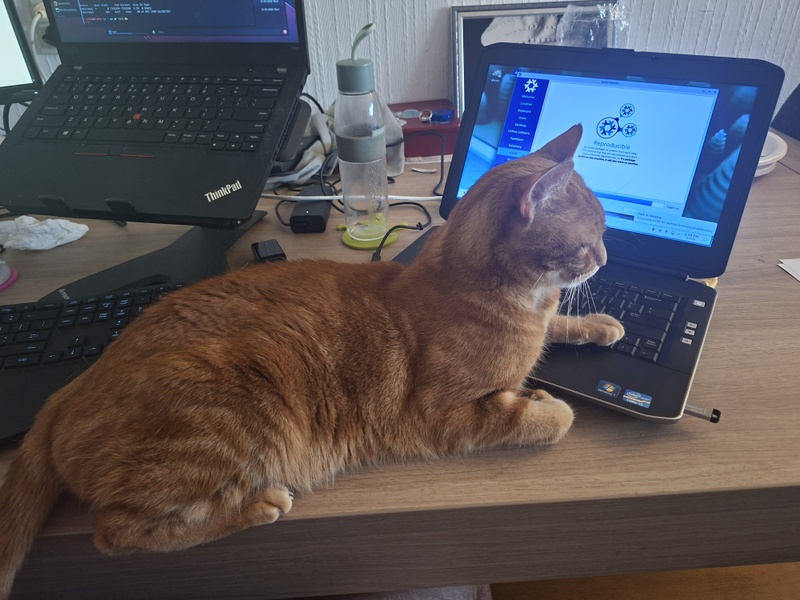 Afbeeldingslocatie: https://tweakers.net/i/xMBUiAqIBnmv5RzxNaHBkfi9_UA=/800x/filters:strip_icc():strip_exif()/f/image/HrLGqhpJj6WB0thTh2Zc5UJY.jpg?f=fotoalbum_large