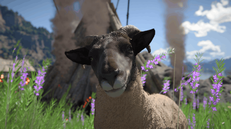 Afbeeldingslocatie: https://tweakers.net/i/xNHUGGExfKc8dgd2v9a7rwg08gA=/800x/filters:strip_exif()/f/image/mJ28Je9psuISNJTQTJeBe2F3.png?f=fotoalbum_large