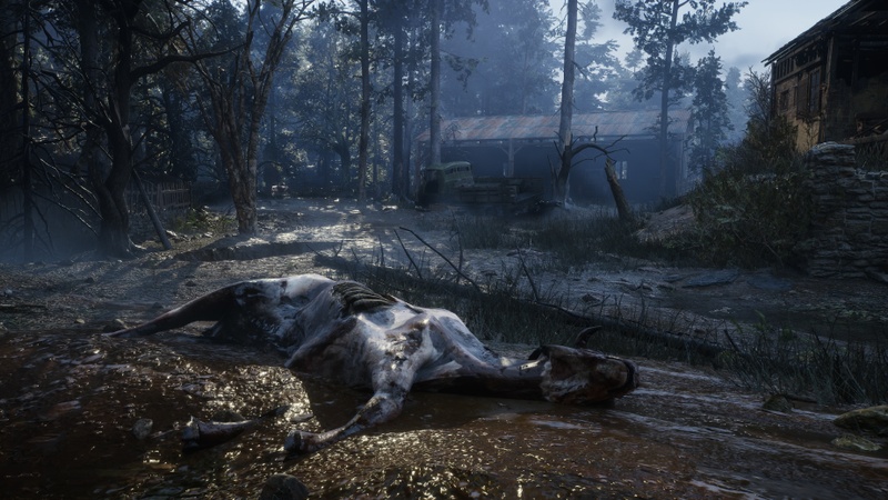 Afbeeldingslocatie: https://tweakers.net/i/xNvoRviyOJiuM2y3VM50ALhZ-4o=/800x/filters:strip_icc():strip_exif()/f/image/8A8lZogEN17z1CfpAx1JSmiB.jpg?f=fotoalbum_large