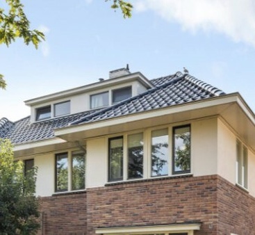 Afbeeldingslocatie: https://tweakers.net/i/xOrEAOB2Efz6fAWWSmqwFs-2ESM=/full-fit-in/4920x3264/filters:max_bytes(3145728):no_upscale():strip_icc():fill(white):strip_exif()/f/image/E46Yr9iIxWS5xvaaoGmXT2Jc.jpg?f=user_large