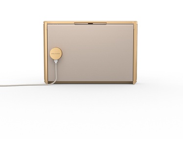 Bang & Olufsen Beosound Level