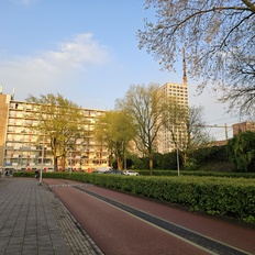 Afbeeldingslocatie: https://tweakers.net/i/xRZNXP44UQpvwVxRM1At1-ljXRk=/232x232/filters:strip_icc():strip_exif()/f/image/euziJeQEc5iZjtywq8NZFlaQ.jpg?f=fotoalbum_tile