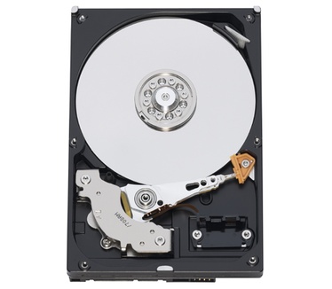 Western Digital AV WD3200AVJS, 320GB