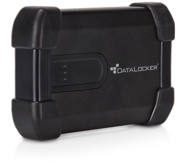 DataLocker H300