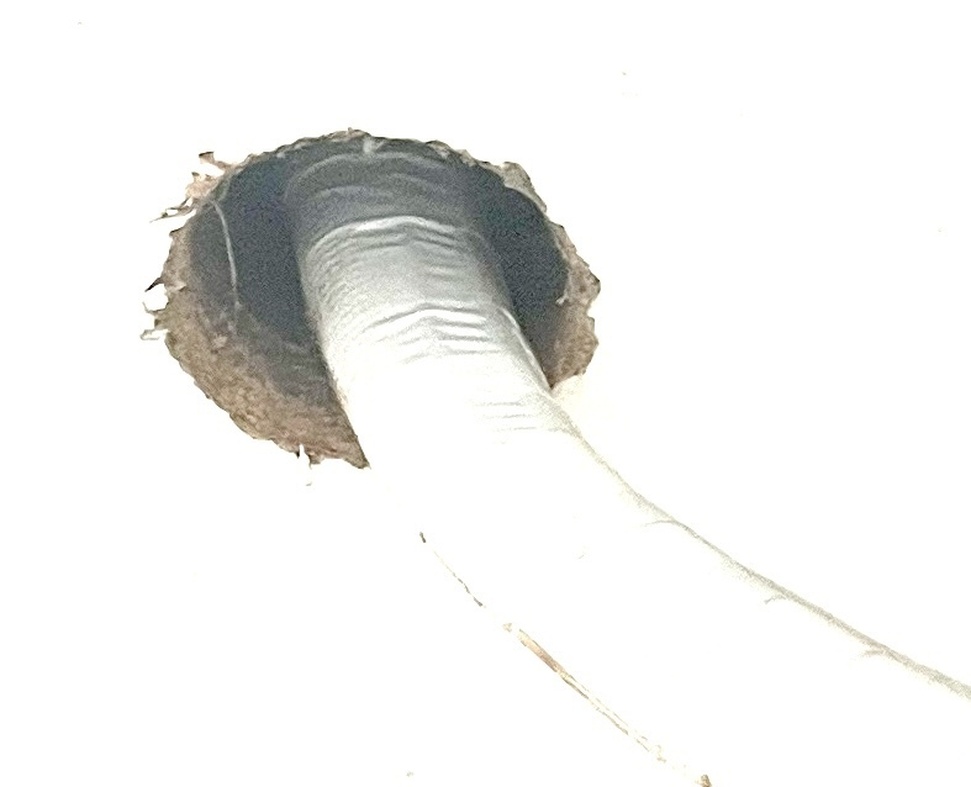 Afbeeldingslocatie: https://tweakers.net/i/xVXnkK-vVbAhGJ-tSNN9CfNgtTU=/full-fit-in/4920x3264/filters:max_bytes(3145728):no_upscale():strip_icc():fill(white):strip_exif()/f/image/H1x93LwUQUtaB5uCaVC28MXR.jpg?f=user_large