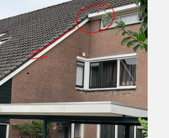 Afbeeldingslocatie: https://tweakers.net/i/xWAgW9tkWWxrntAQMQd5kk_XB-I=/full-fit-in/4000x4000/filters:no_upscale():fill(white):strip_exif()/f/image/UdKrU8Y92Ql3ToQXVnbDWSDV.png?f=user_large